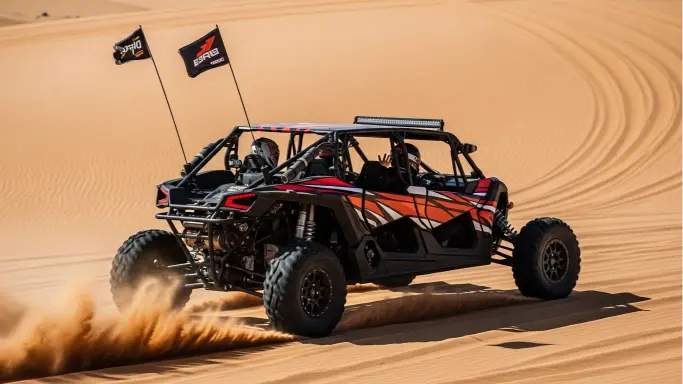 Luxury Dune Buggy Tours