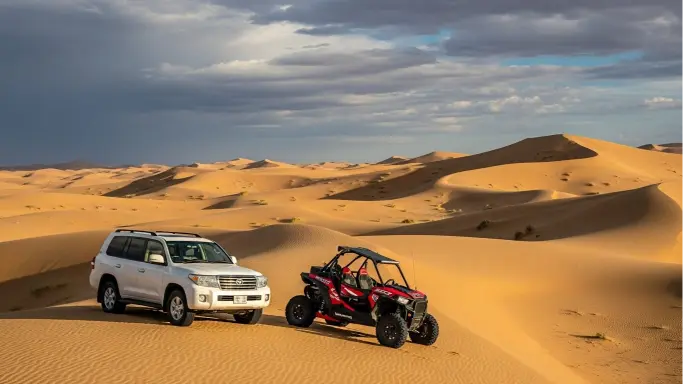 Premium Desert Safari + Buggy Ride
